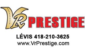 54119 VR Prestige Ln vis